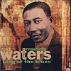 CD:A Tribute To Muddy Waters